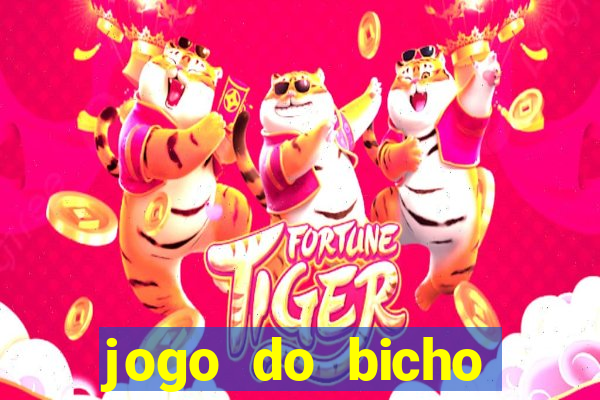 jogo do bicho documentario globoplay